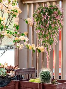 2入組人造花藤簡單塑料假花花環用於室內和室外裝飾 - 黃色 - 查看 2