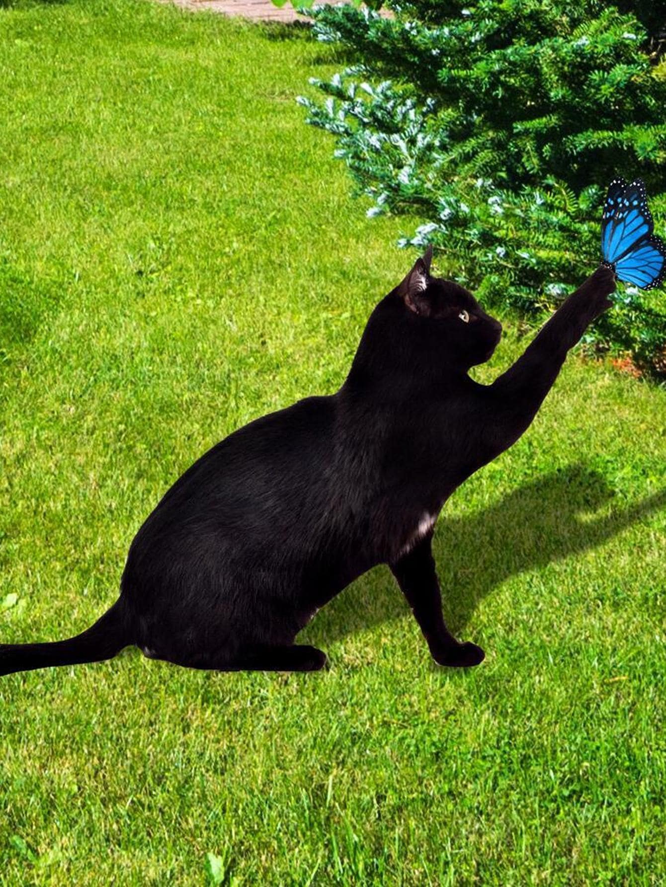 1pc Cat Design Garden Decoration Craft - Black - View 1