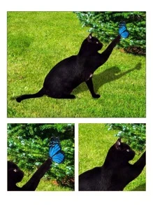 1pc Cat Design Garden Decoration Craft - Black - View 8