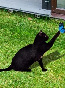 1pc Cat Design Garden Decoration Craft - Black - View 6