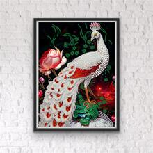 1套孔雀圖案DIY無框鑽石畫，現代PMMA DIY家居裝飾鑽石畫 - 彩色 - 查看 3