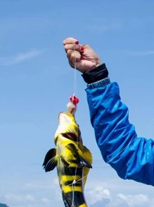 500m Invisible Nylon Fishing Line Fluorocarbon Coating Wire 0.10-0.50mm 1.76-24.25LB Super Strong Match Sinking Line - Baby Blue - View 5