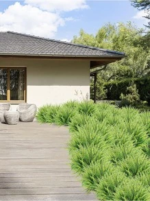 4 cây nhân tạo, cây giả bằng nhựa hiện đại để trang trí sân vườn - màu xanh lá - Xem 6