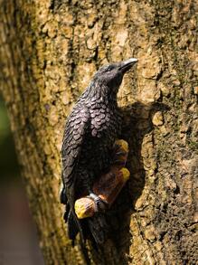 1pc Bird Shaped Garden Decorative Object - Black - View 1