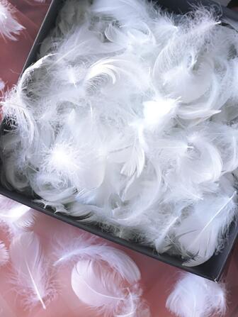 1入組白色羽毛圖案DIY裝飾