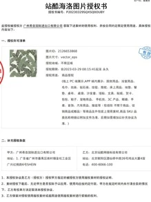 SUPSTICKER 1 Bộ Decal Dán Tường Họa Tiết Lá, PVC Hiện Đại Tự Dính Nghệ Thuật Treo Tường Decal, Cho Trang Trí Nhà - Nhiều màu - Xem 8