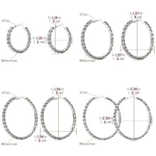 1 Gợi Cảm Kim Cương Giả Bông Tai Tròn Lớn Thích Hợp Cho Thời Trang Nữ Bông Tai Pha Lê Sáng Bóng Bé Gái - Bạc - Xem 5