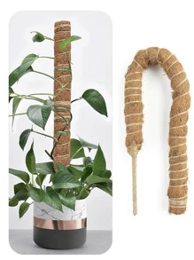 1入組植物攀爬架 - 彩色 - 查看 1