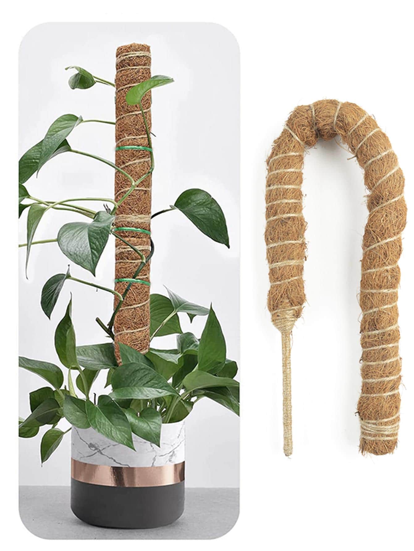 1入組植物攀爬架 - 彩色 - 查看 1