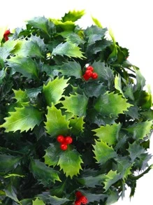 1pc Artificial Plant - Green - View 5