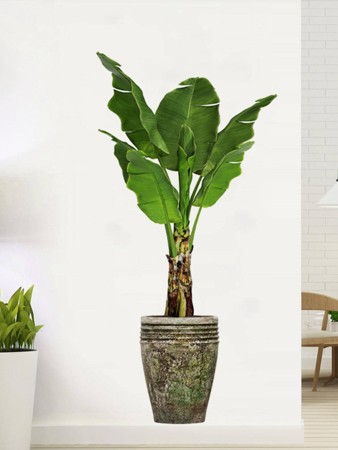 1入組植物圖案牆貼