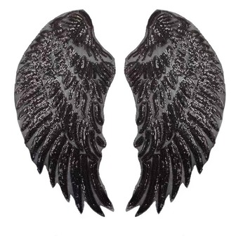 1對機翼設計熨燙貼片