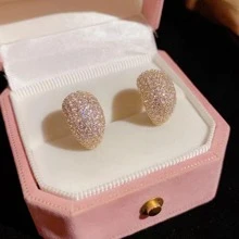Cubic Zirconia Decor Stud Earrings