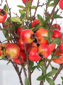 Cây Nhân Tạo - Đỏ - Xem 4