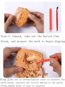 1入組恐龍設計玩具 - 彩色 - 查看 3