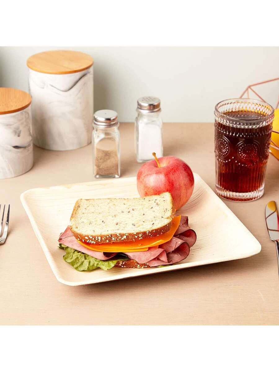 JUVALE Square Areca Palm Leaf Plates, Single-Use Party Dinnerware (10 In, 24 Pack) - Beige - View 1