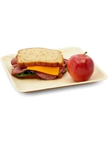 JUVALE Square Areca Palm Leaf Plates, Single-Use Party Dinnerware (10 In, 24 Pack) - Beige - View 7