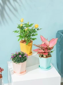 1 lọ hoa màu trơn - Màu vàng - Xem 6