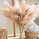 Cà phê nâu