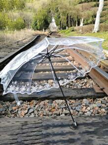 1把可折叠手动白色雨伞，便携式透明花卉图案阳伞，适合户外旅行