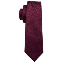 Men Paisley Pattern Tie Set - Burgundy - View 4