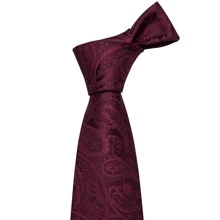 Men Paisley Pattern Tie Set - Burgundy - View 3