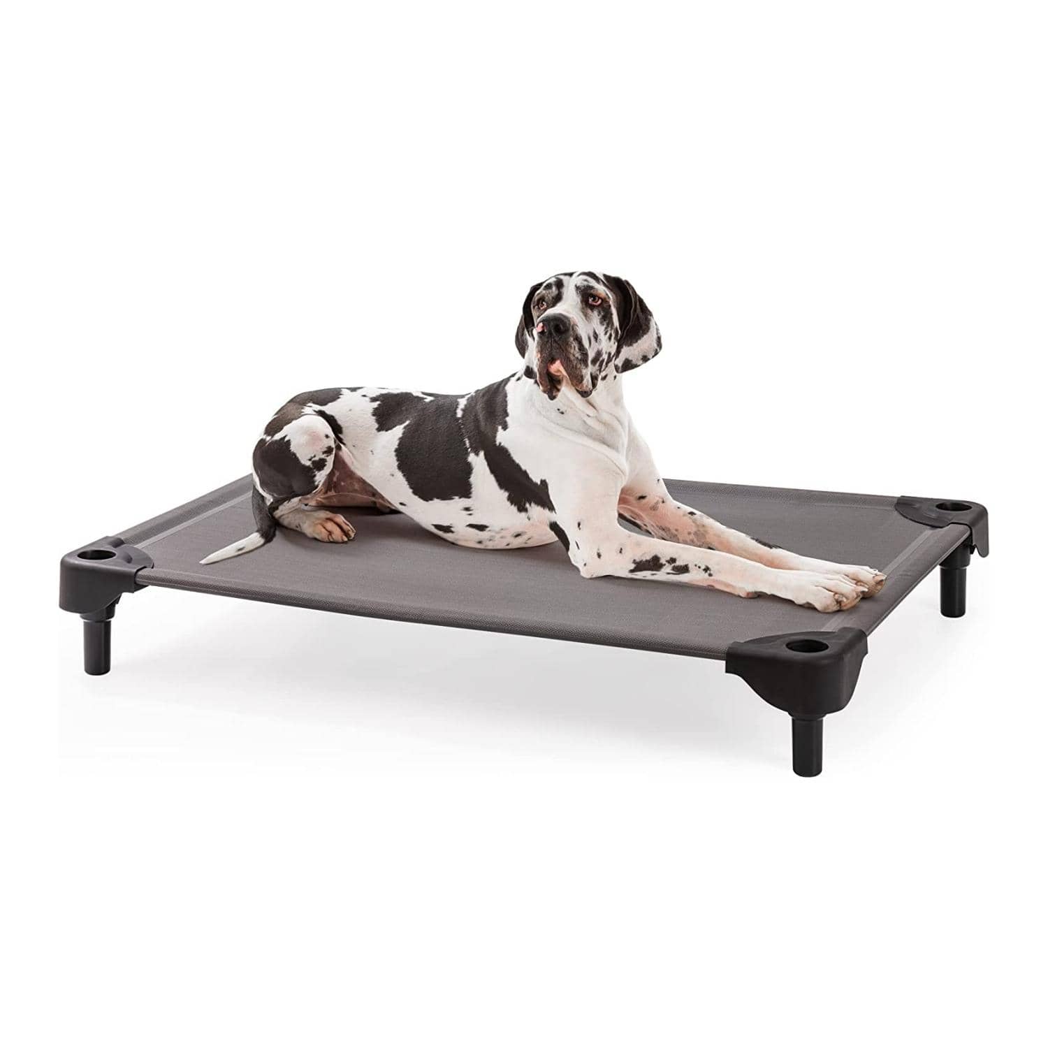 MewooFun Elevated Dog Bed Outdoor Raised Dog Cots Beds for Large Dogs Outdoor & Indoor Pet Bed with Frame with Breathable Mesh - 深灰色 - 查看 1