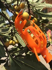 1pc Plastic Fruit Picker, Modern Orange Fruit Picker For Garden,Garden Tools, Gardening Tools For Garden - Orange - View 1