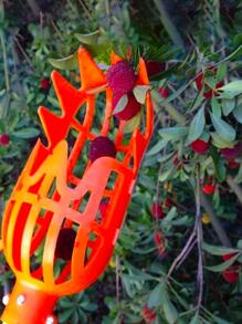 1pc Plastic Fruit Picker, Modern Orange Fruit Picker For Garden,Garden Tools, Gardening Tools For Garden - Orange - View 5