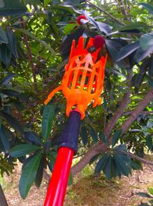1pc Plastic Fruit Picker, Modern Orange Fruit Picker For Garden,Garden Tools, Gardening Tools For Garden - Orange - View 3