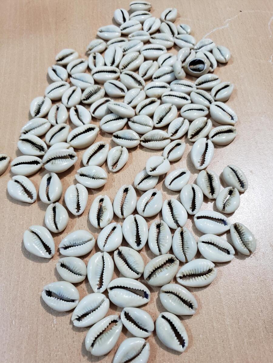 LARGE NATURAL CAURI PUKSERAS SHELLS 25 PCS DIY NECKLACE JEWELERY - Beige - View 1
