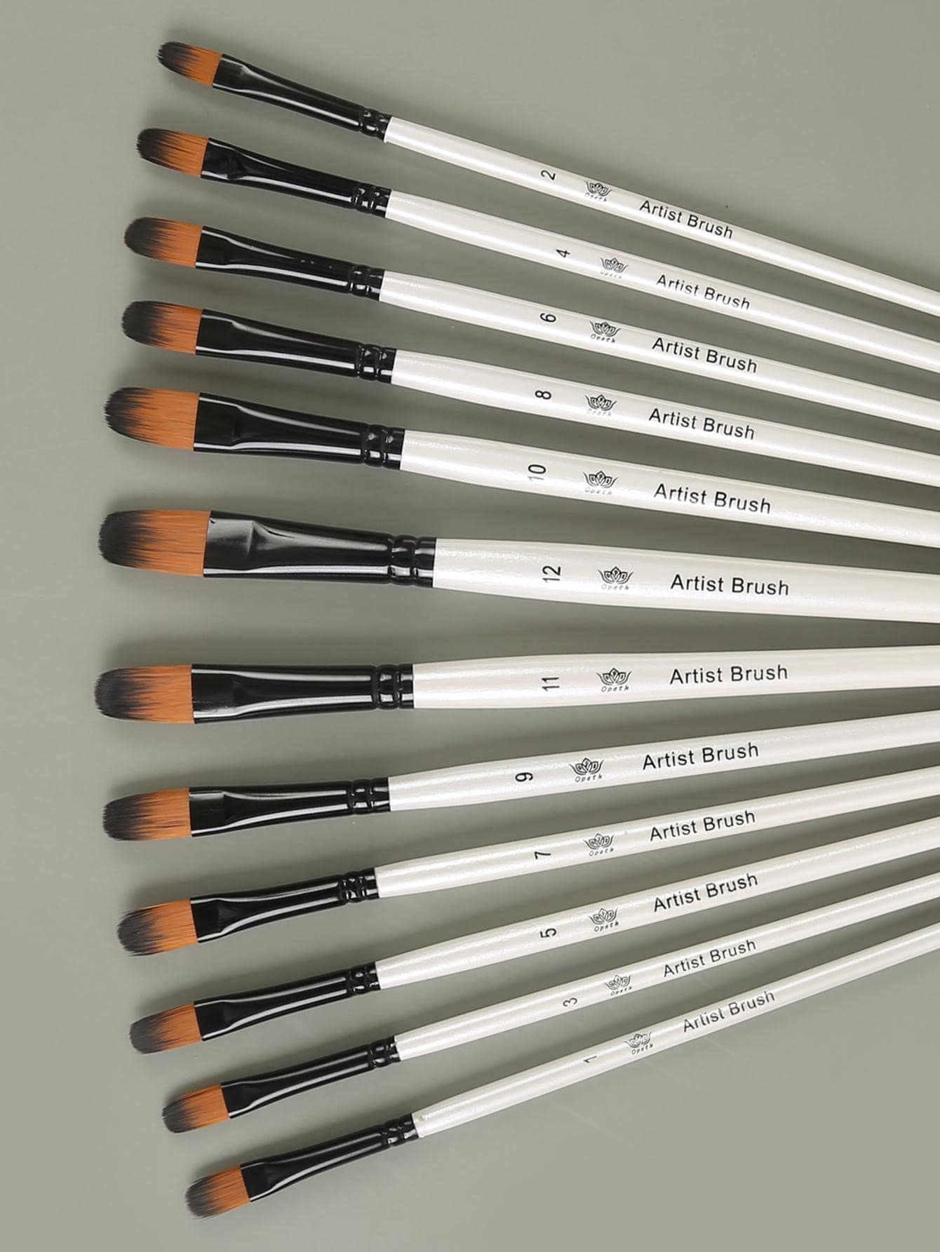 opeth 12pcs Half Round Head Drawing Brush Set, Simple Wood Painting Brush Set For Student Back To School,Back To School,School Supplies - Multicolor - View 1