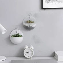 1入組掛壁式植物容器 - 白色 - 查看 1