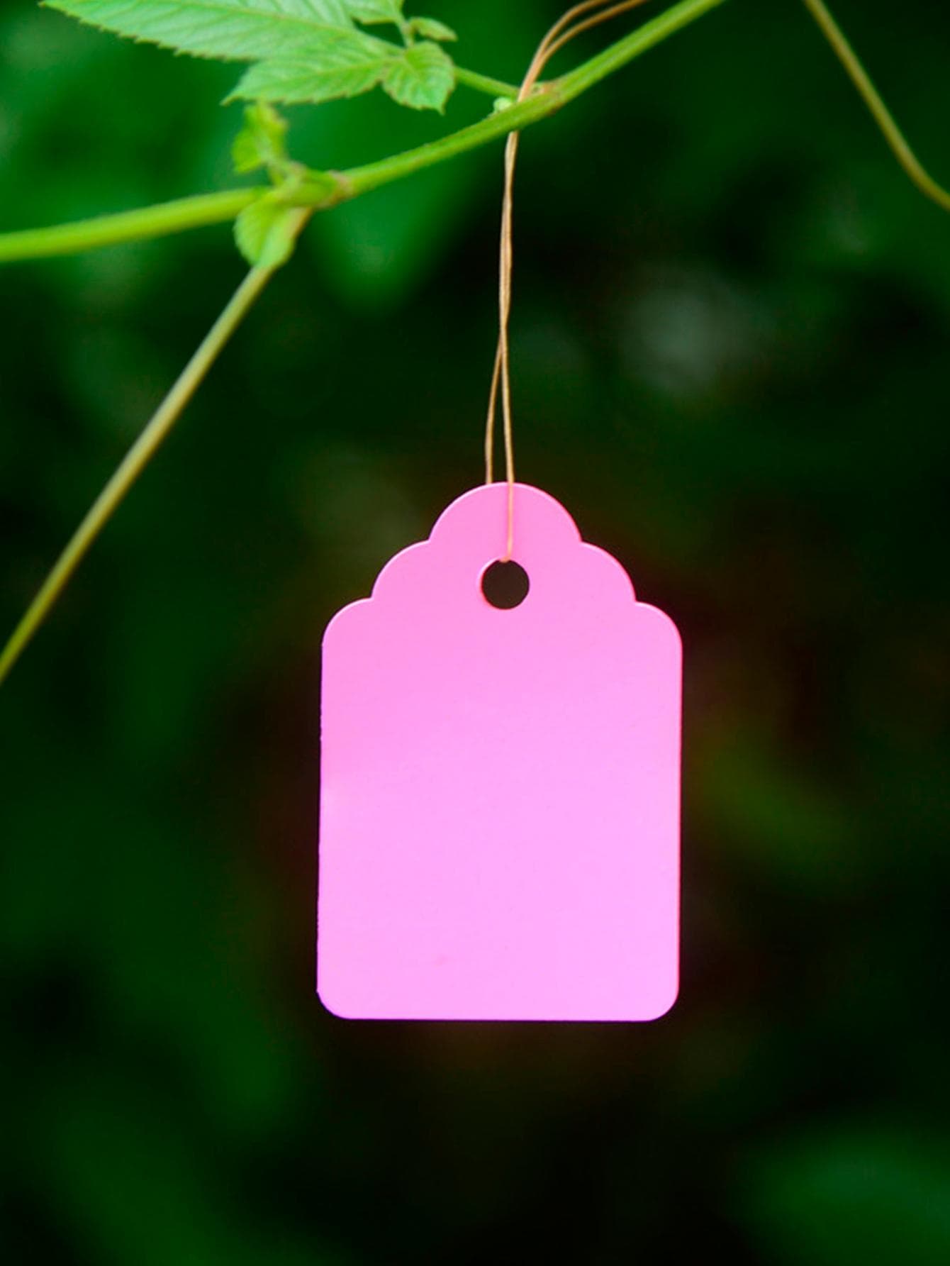 100pcs/set Plastic Plant Marker, Minimalist Solid Color Hanging Plant Label For Garden - Pink - View 1