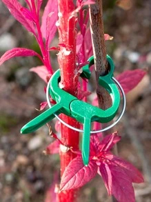 10pcs Plastic Garden Plant Clip - Green - View 9