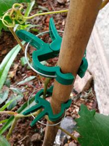 10pcs Plastic Garden Plant Clip - Green - View 5