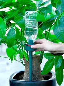 3 piezas Dispositivo de riego automático de plástico - Verde - Ver 8