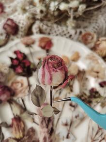 40pcs Floral Pattern Sticker, Creative Multi-Purpose Decorative Sticker For Hand Account Decoration Back To School - Multicolor - View 4