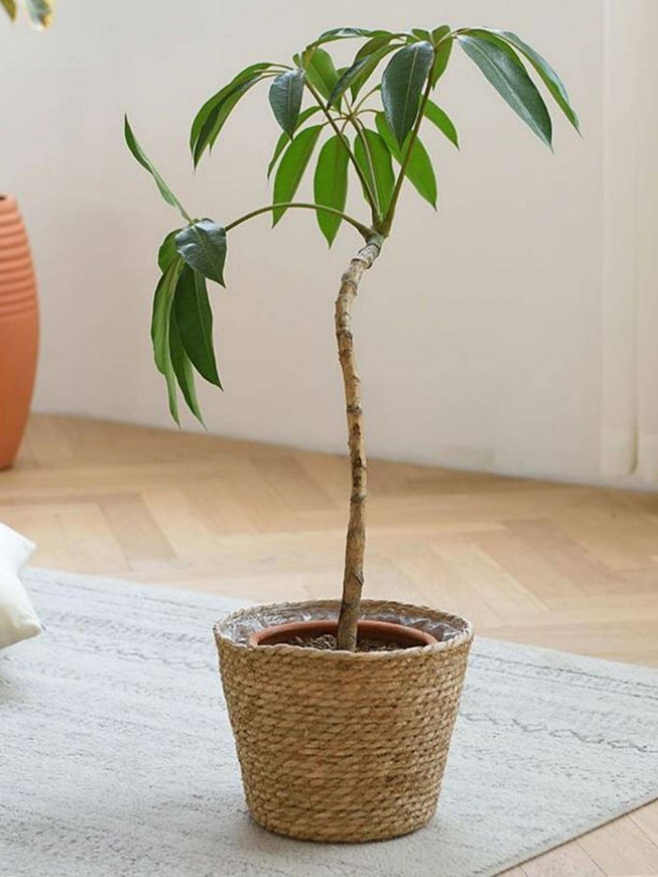 1PC Giỏ trồng cây bằng cỏ biển Giỏ trồng cây thời trang cho cây trồng trong nhà và ngoài trời Hoàn hảo để che chậu hoa và trang trí phòng - Nhiều màu - Xem 1