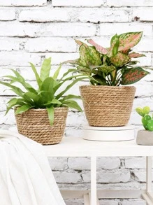 1PC Giỏ trồng cây bằng cỏ biển Giỏ trồng cây thời trang cho cây trồng trong nhà và ngoài trời Hoàn hảo để che chậu hoa và trang trí phòng - Nhiều màu - Xem 4