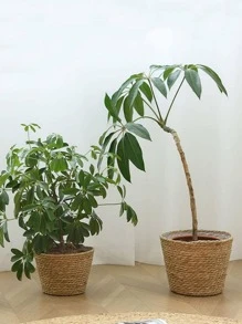 1PC Giỏ trồng cây bằng cỏ biển Giỏ trồng cây thời trang cho cây trồng trong nhà và ngoài trời Hoàn hảo để che chậu hoa và trang trí phòng - Nhiều màu - Xem 5