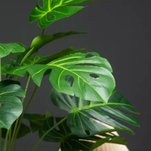 1 chiếc lá nhân tạo không có nồi - Màu xanh lá cây đậm - Xem 4