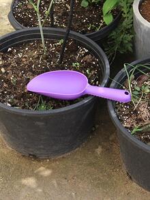 1pc Plain Plastic Gardening Shovel - Purple - View 1