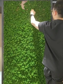 40g Mô phỏng Rêu nhân tạo Xanh lá cây cỏ rêu vĩnh cửu Cây giả dùng để trang trí tường nhà Vườn Vật liệu cảnh quan vi mô Quà tặng, Ngày lễ tình nhân, Quà tặng - màu xanh lá - Xem 3