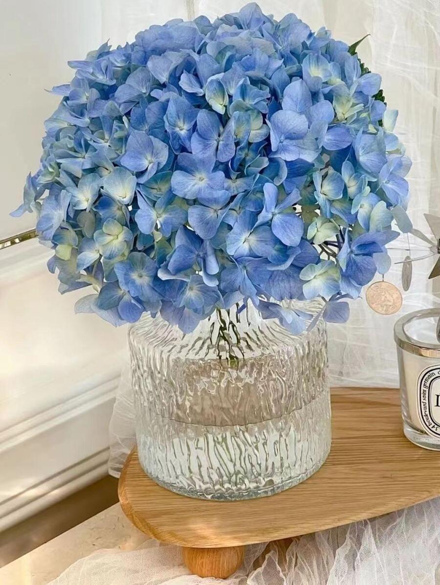 1 chiếc bình thủy tinh trong suốt - Trong sáng - Xem 1