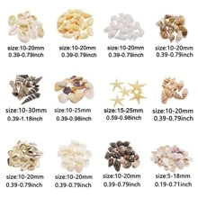 1 caja de cuentas de bricolaje en forma de estrella de mar y concha de estilo bohemio para mujeres para hacer joyas en días festivos