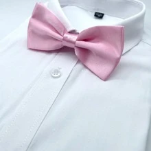 1 Cà vạt nam hai mặt bằng polyester màu trơn dùng cho đám cưới, phù rể, chủ nhà, bồi bàn Cà vạt nam ngày lễ tình nhân thường ngày - Hồng - Xem 2