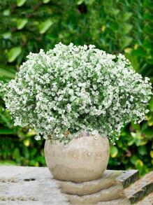 1pc Artificial Plastic Plant - White - View 2