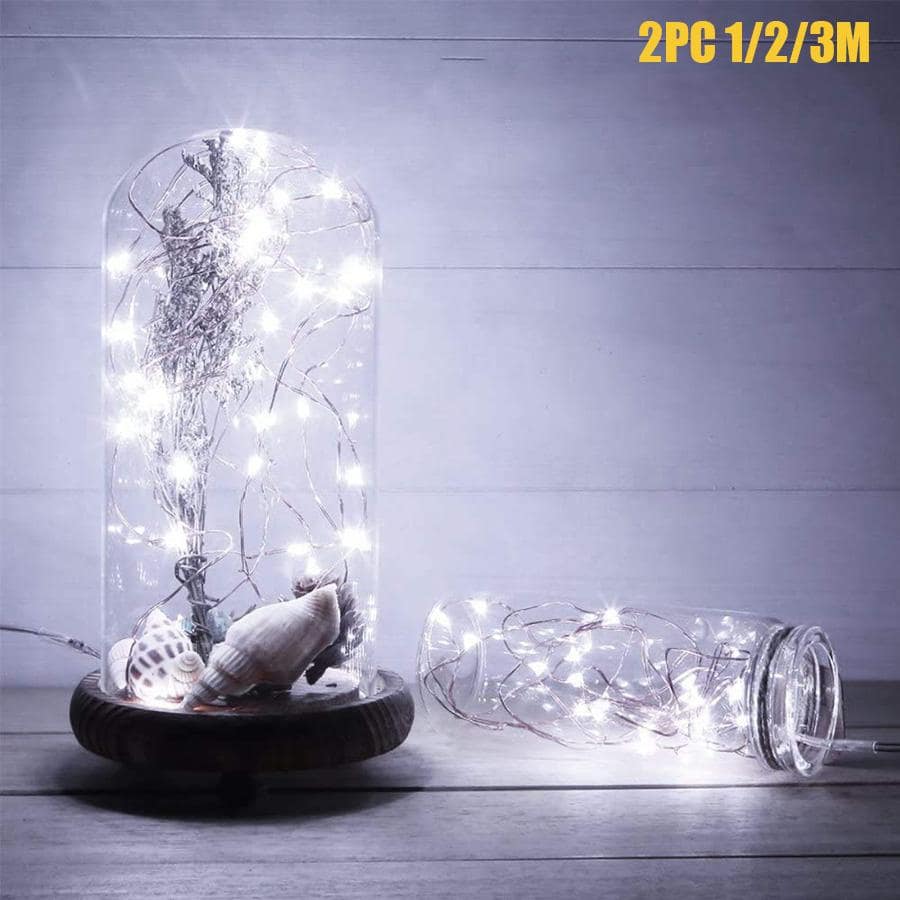 2入組1/2/3米銅線裝飾燈串,備有電池,10/20/30顆LED小仙燈,適用於家居、花園、露營、派對、婚禮、生日、庭院裝飾。 - 白色 - 查看 1