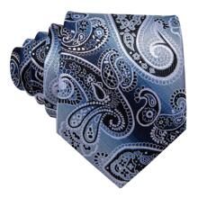 1 bộ Cà Vạt Họa Tiết Paisley Nam - Xanh và trắng - Xem 5